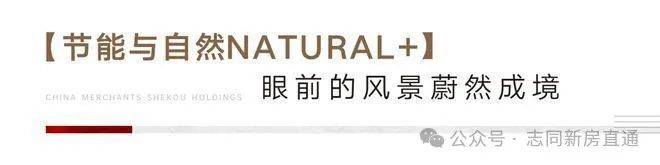 桥璀璨领峯-招商南山虹桥璀璨领峯户型图-地址-交通配套尊龙凯时ag旗舰厅网站【2024首页】上海招商南山虹(图9)