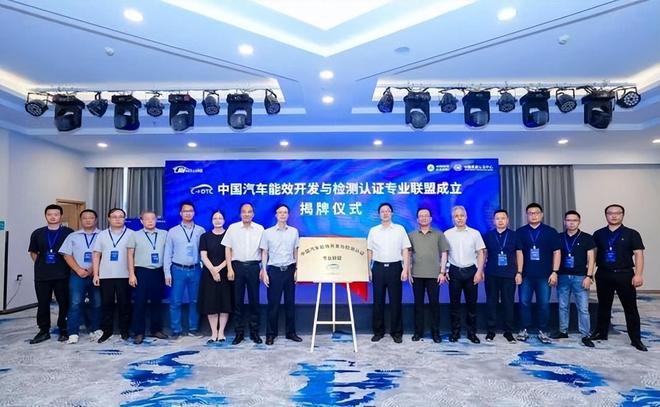 款车型公布买车请认准这个标凯时尊龙电耗表现亮眼的12(图5)
