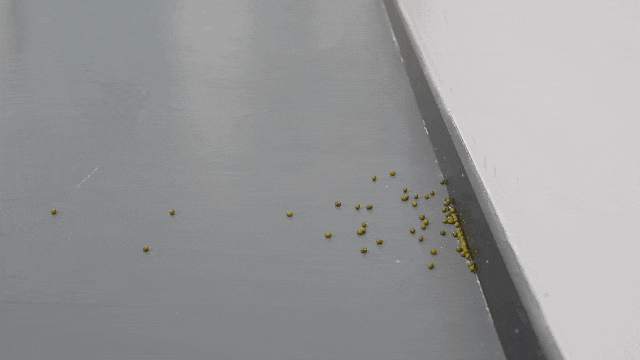 我们追踪统计了48款热销家电发现……尊龙人生就是博“双十一”避坑指南(图9)